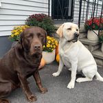Leslie Griswold - @lesliegrisly - Instagram