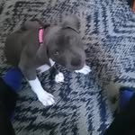 Leslie Guillory - @guillory1240 - Instagram