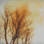 Leslie Hacker - @leslie.hacker51 - Instagram