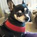 Leslie Hadley - Facebook