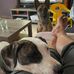 Leslie Hamard - Facebook