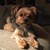 Leslie Harbin - Facebook