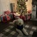 Leslie Harbin - Facebook