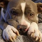 Leslie Hawk - @lahawk0767 - Instagram