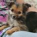 Leslie Hawkes - Facebook