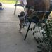 Leslie Hearn - Facebook