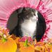 Leslie Hickman - Facebook