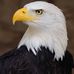 Leslie County High School Eagles - Facebook