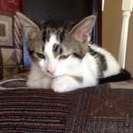 Charlotte Leslie-Holub - Facebook