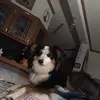 leesahuffaker - @leesahuffaker - TikTok