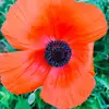 Leslie Hustedt - @leslie.hustedt4 - TikTok