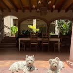Leslie W. Jaeger - @hectorsma - Instagram