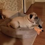 Leslie Jarrell - @jarrell9991 - Instagram