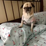 Leslie Jarrell - @jarrell1769 - Instagram
