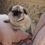 Leslie Jean Jarrell - @lesliejeanjarrell - Instagram