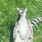 Leslie jay - @stupid_artist_person - Instagram