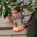 Leslie Knickerbocker - Facebook