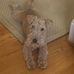 Leslie Lackey - Facebook