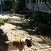 Leslie Ladd - Facebook