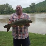 Leslie Laing - @leslie.laing.50 - Instagram