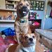 Leslie Leeann Vannatter - Facebook