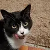 Leslie LeClair - @leslie.leclair - TikTok
