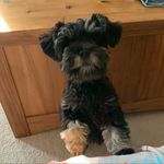 Leslie LeClair - @fusil_a_pompe13 - Instagram