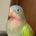 Leslie Lederman - Facebook