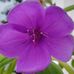 Leslie Leduc - Facebook