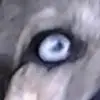 Leslie Leininger672 - @leslieleininger67 - TikTok