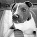 Leslie Leis - Facebook