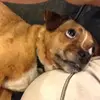 Leslie Leisey (McLeisey) - @leslie.leisey.mcl - TikTok