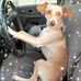 Leslie Link - Facebook