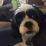Leslie Link - @aunt_webbs - Instagram