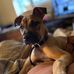 Lucille Longstreth-Tunis - Facebook