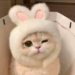 Leslie Lyka - Facebook