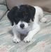 Leslee Lyttle - Facebook