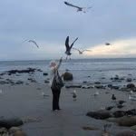 Leslie Lytle Miscevic - @babypmom - Instagram