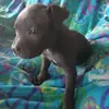 lytleleslie928 - @lytleleslie928 - TikTok