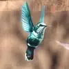 Leslie Mallinoff Bohannon - @leslie.mallinoff - TikTok