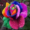 Leslie Mapes - @leslie.mapes - TikTok
