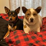 Leslie Mapes Wade - @lesliemwade - Instagram