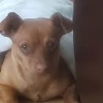 Leslie Alarcon Leslie Alarcon - @lesliemarquez41 - Instagram