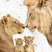 Marot Leslie - Facebook