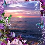 Leslie Mccain - @lesliemccain397 - Instagram