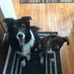 Leslie McCarter McClure - Facebook