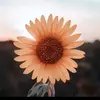 Leslie Mccloud - @lesliemccloud824 - TikTok