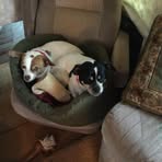 Leslie McCloud - Facebook