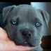 Leslie McCormick - Facebook
