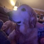Leslie Hudson McHugh - @leslielane22 - Instagram